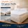 EXKLUSIV HEIMTEXTIL Jersey Spannbettlaken Premium