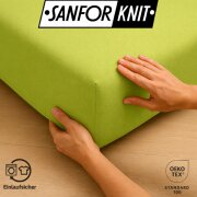 EXKLUSIV HEIMTEXTIL Jersey Spannbettlaken Premium 200 x 220 cm Apfelgrün 100% Baumwolle Öko - Tex Zertifiziert Bed-Sheet Bettlaken Spannbetttuch Topper Leinentuch