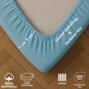 EXKLUSIV HEIMTEXTIL Jersey Spannbettlaken Premium 200 x 220 cm Hellblau 100% Baumwolle Öko - Tex Zertifiziert Bed-Sheet Bettlaken Spannbetttuch Topper Leinentuch