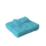 Seiftuch 4er Set 30 x 30 cm Türkis