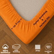 EXKLUSIV HEIMTEXTIL Jersey Spannbettlaken Premium 90 x 200 cm Terrakotta 100% Baumwolle Öko - Tex Zertifiziert Bed-Sheet Bettlaken Spannbetttuch Topper Leinentuch