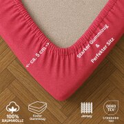 EXKLUSIV HEIMTEXTIL Jersey Spannbettlaken 60 x 120 cm Pink 100% Baumwolle Öko - Tex Zertifiziert Bed-Sheet Bettlaken Spannbetttuch